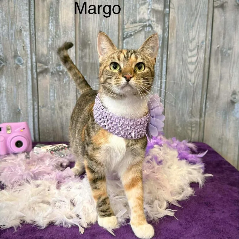 Margo thumbnail 2