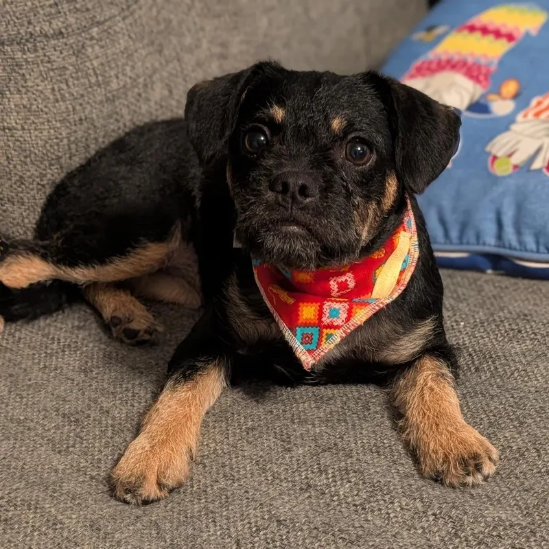 Tinkerbell thumbnail 2