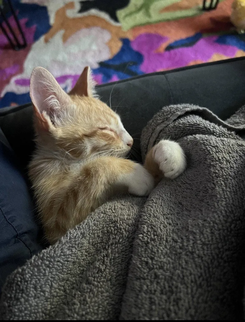 Pretzel thumbnail 3