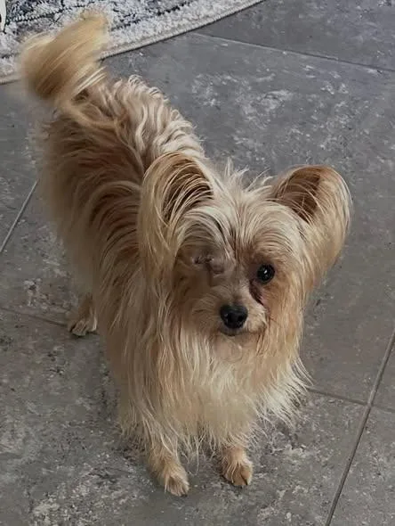 Stormie