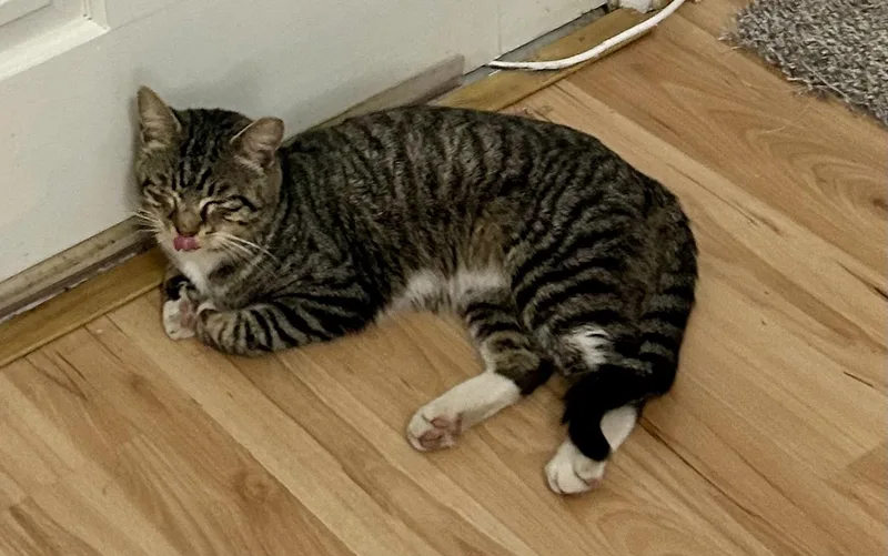 Calvinfiv Positive thumbnail 2