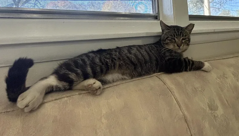 Calvinfiv Positive thumbnail 3