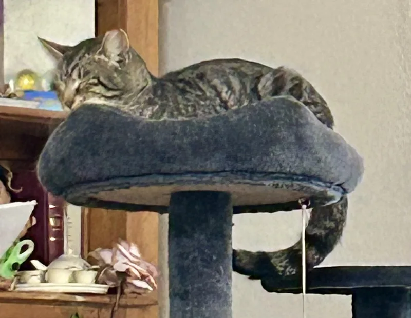 Calvinfiv Positive thumbnail 4