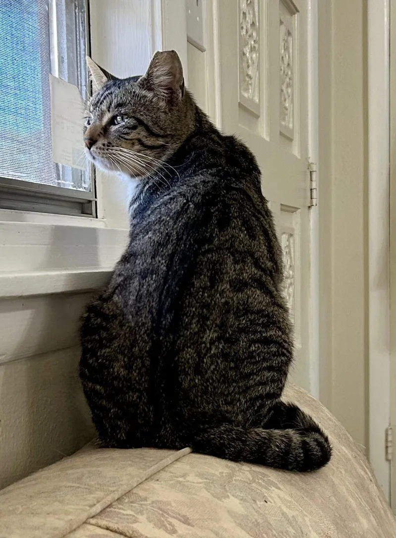 Calvinfiv Positive thumbnail 5