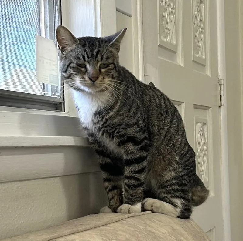 Calvinfiv Positive thumbnail 6