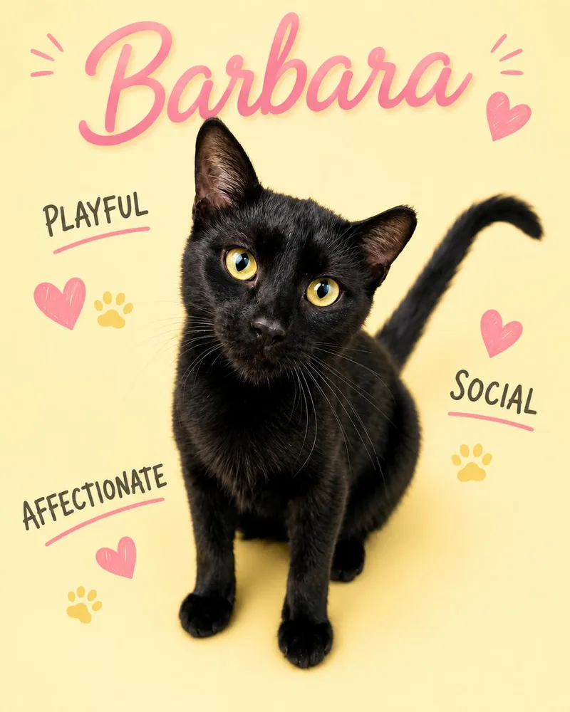 Barbara Willow Grove  thumbnail 3