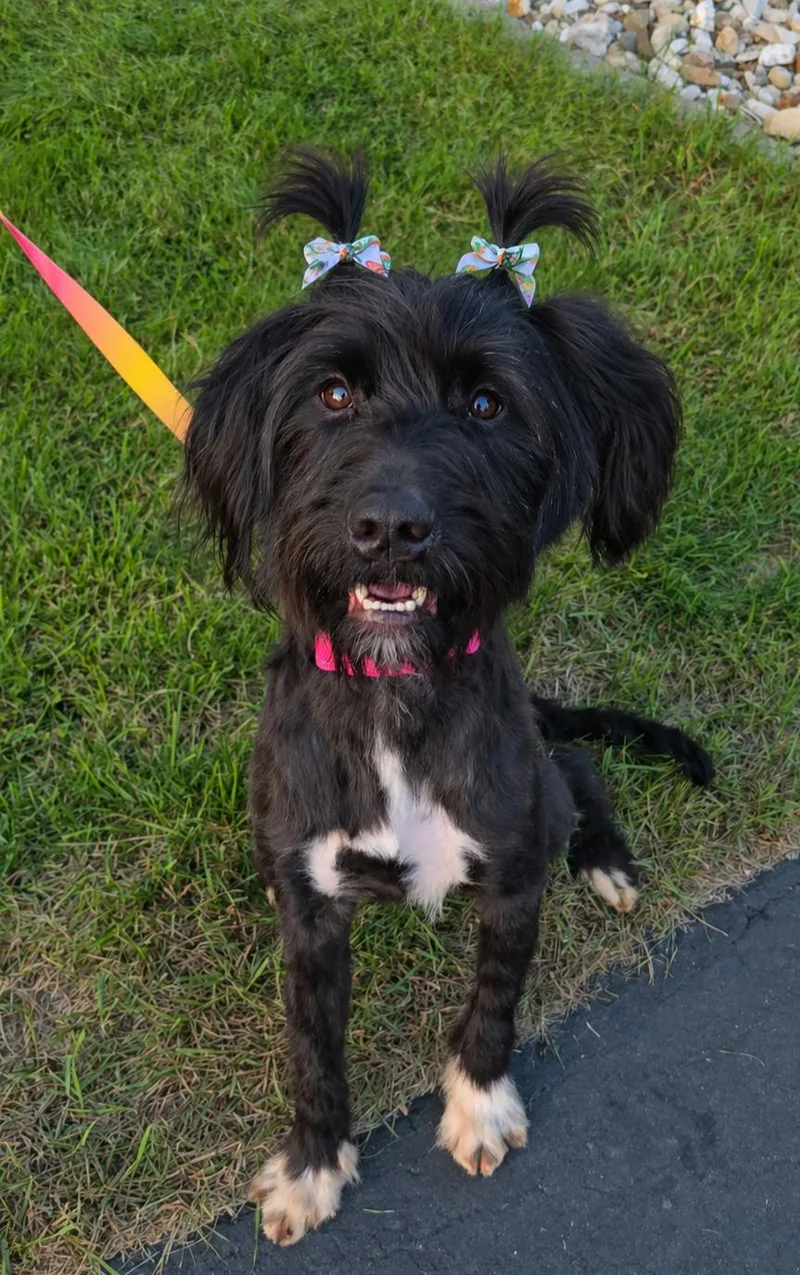 LayLay thumbnail 3