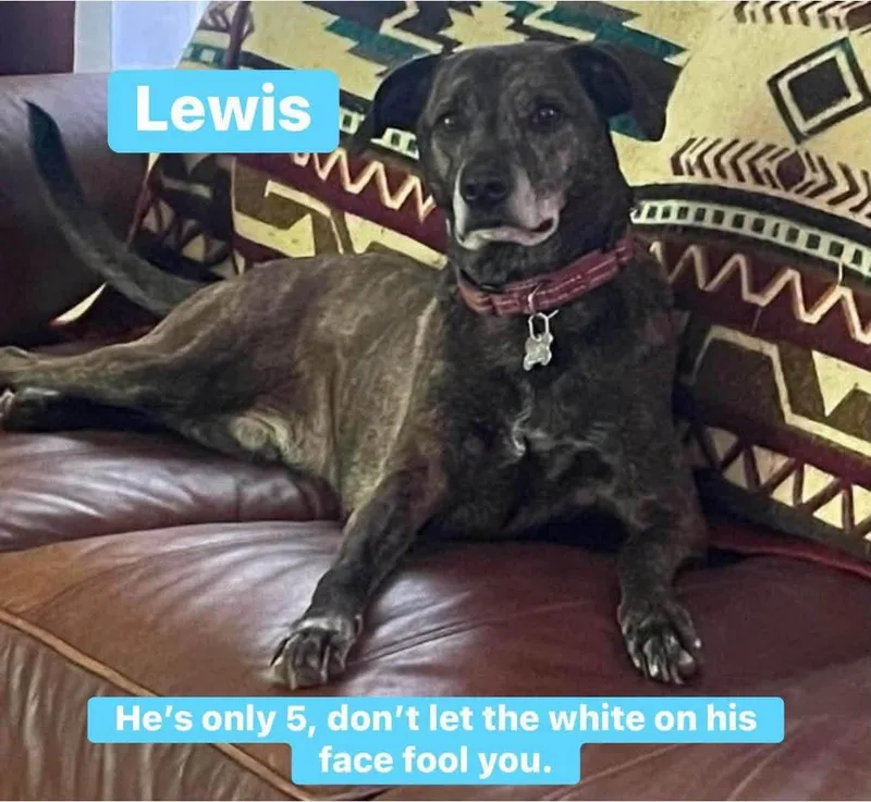 Lewis