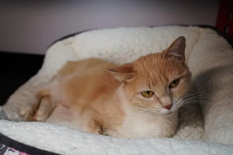 Beth thumbnail 3