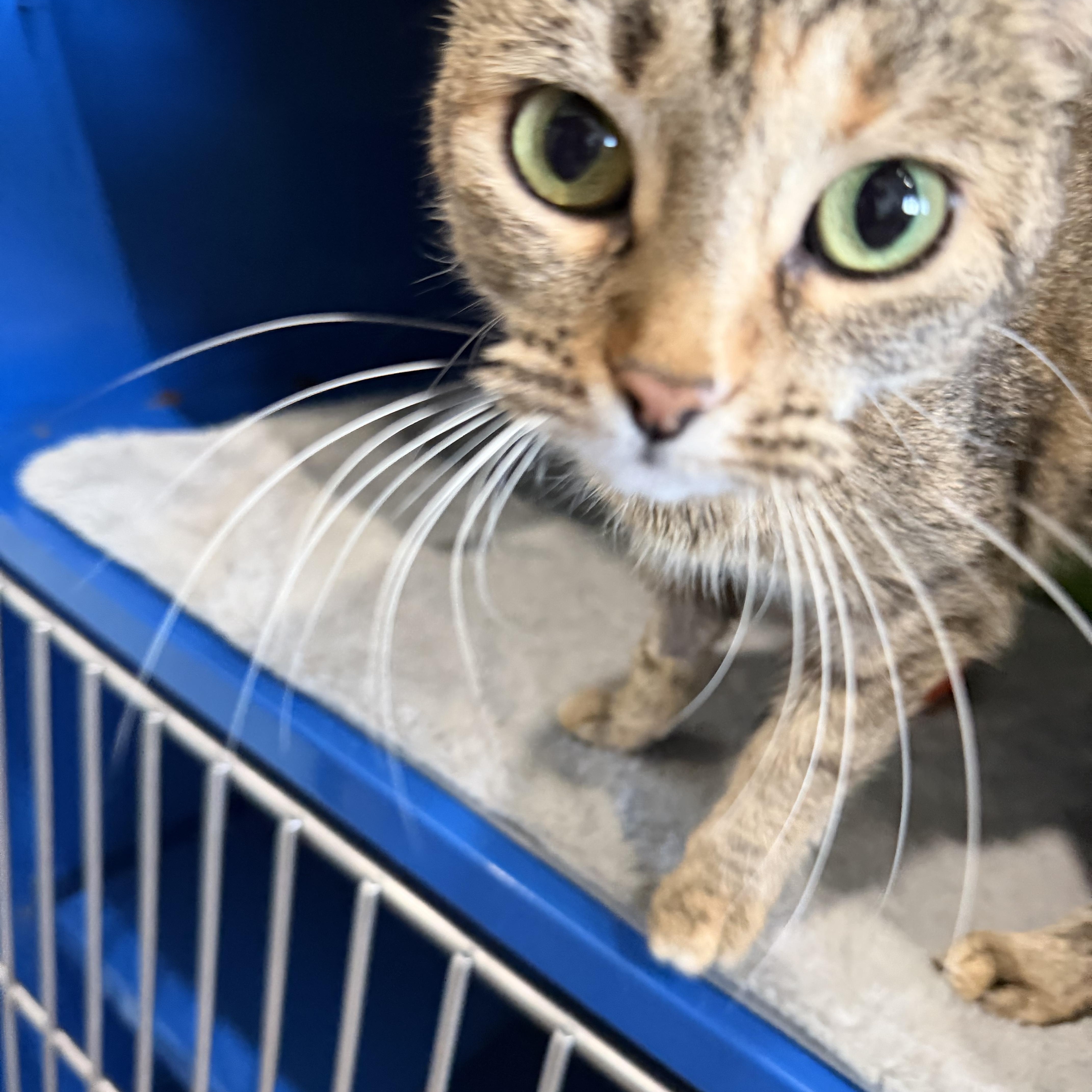 Luna May thumbnail 2