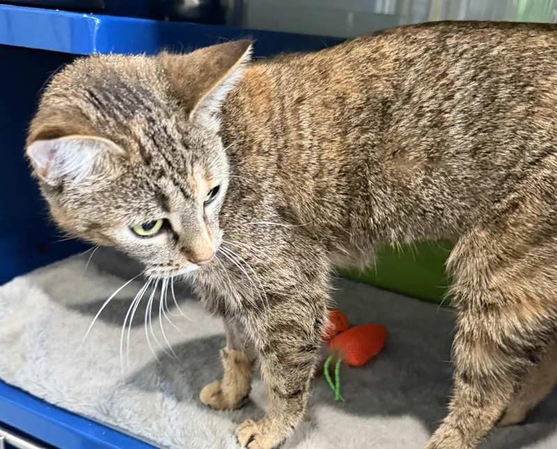 Luna May thumbnail 3