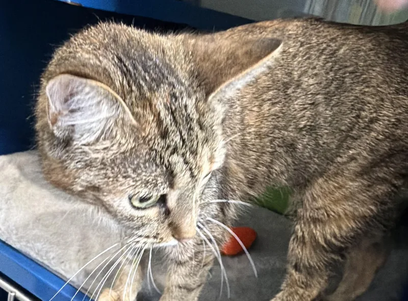 Luna May thumbnail 4