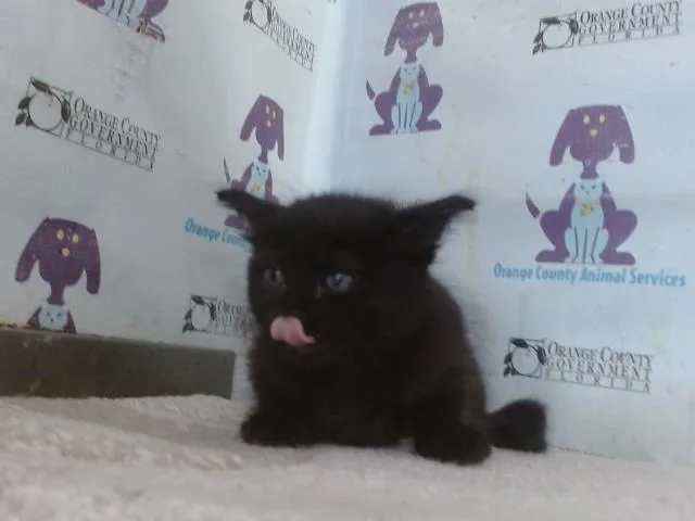 Winnie