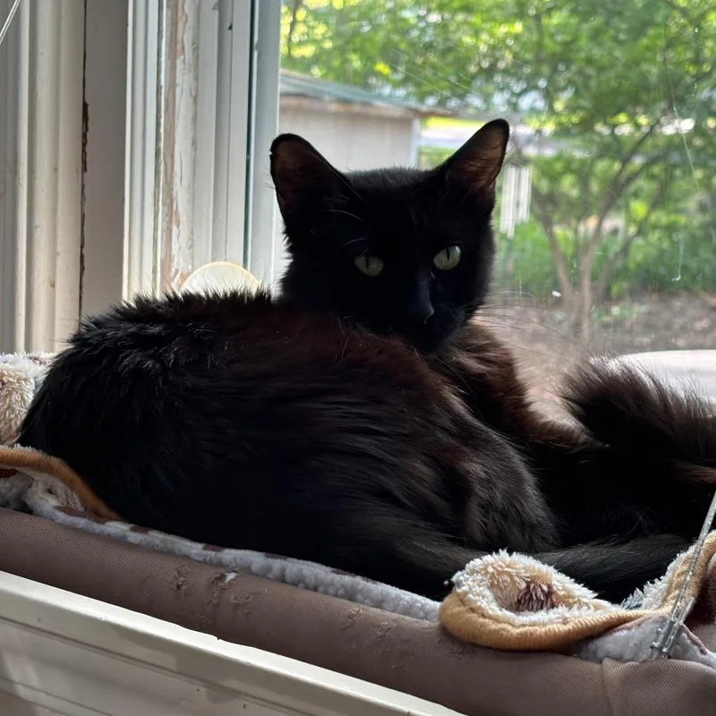 Gabby thumbnail 3