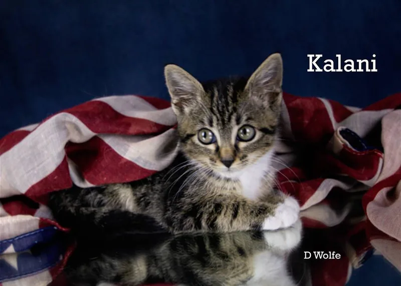 Kalani thumbnail 3