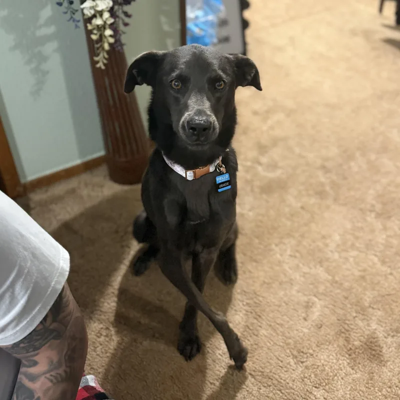 Gracie Mae thumbnail 3