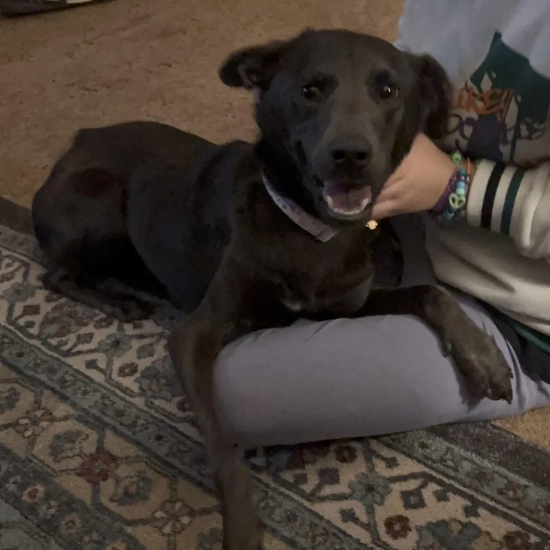 Gracie Mae thumbnail 4