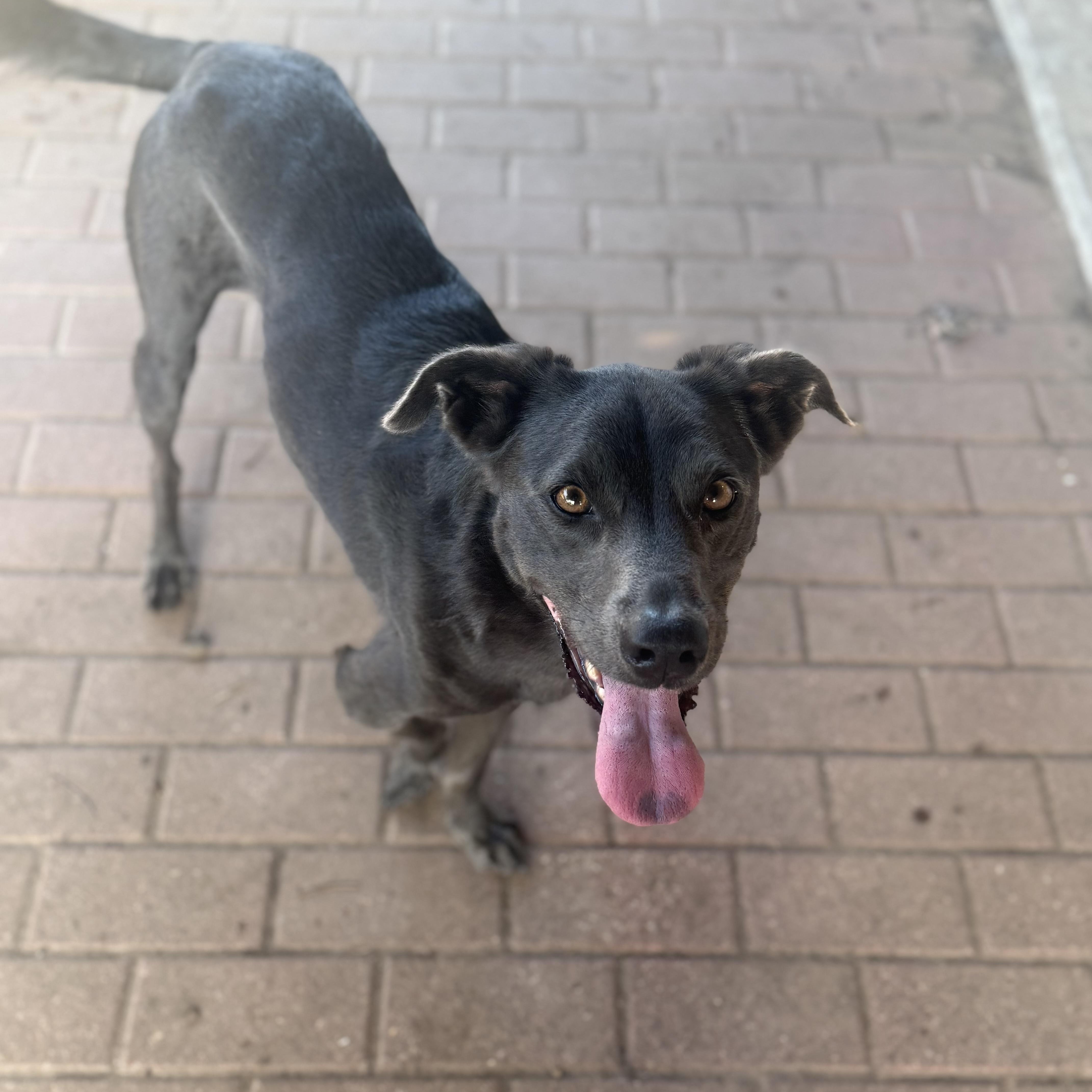 Gracie Mae thumbnail 5