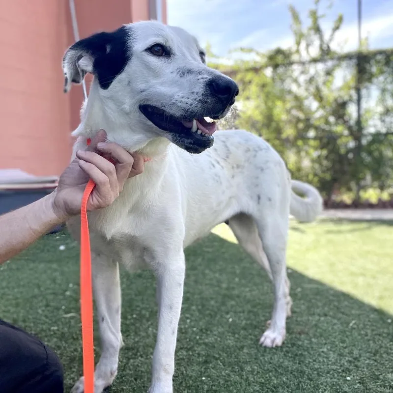 Emma thumbnail 3