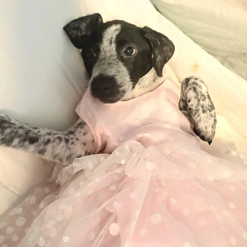 Grace Ann "your Perfect thumbnail 2