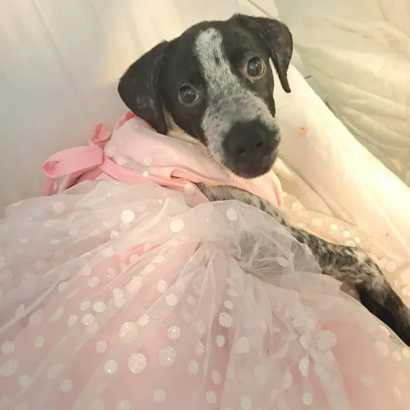 Grace Ann "your Perfect thumbnail 3