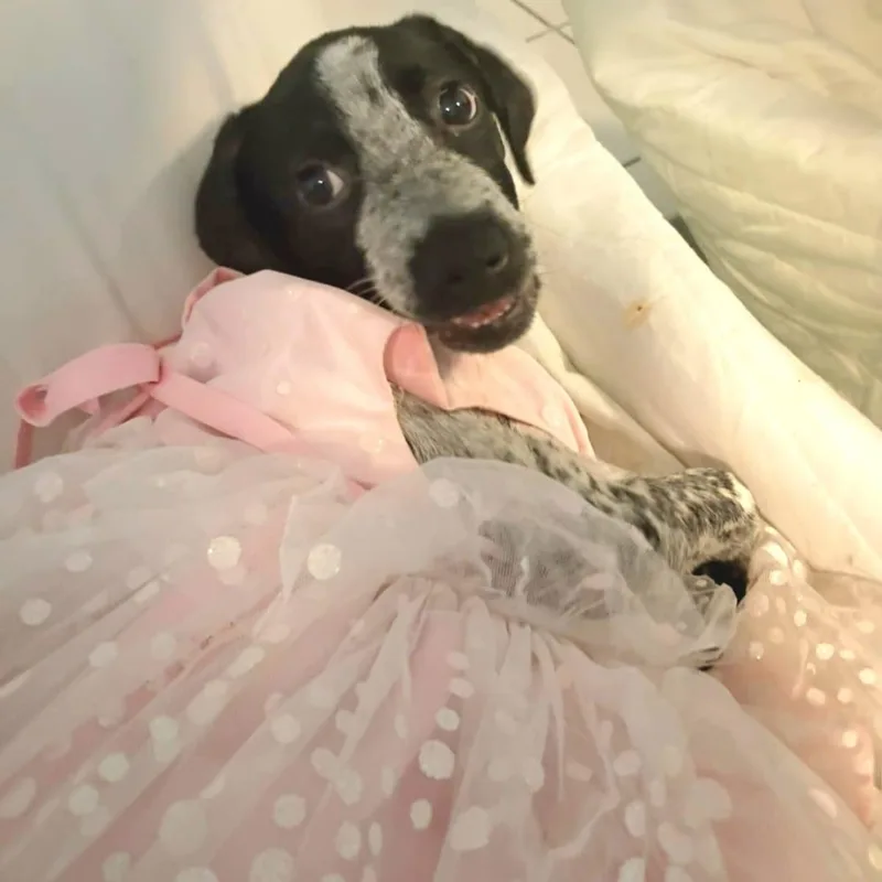 Grace Ann "your Perfect thumbnail 5