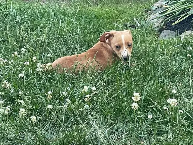 Bailey thumbnail 2