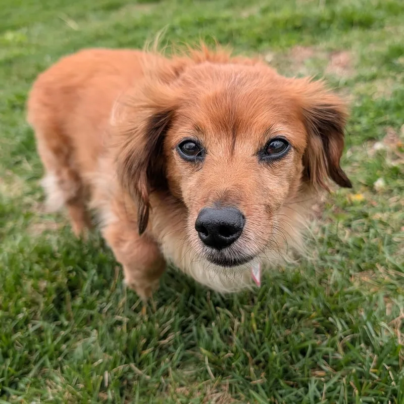 Tucker In Sc thumbnail 2