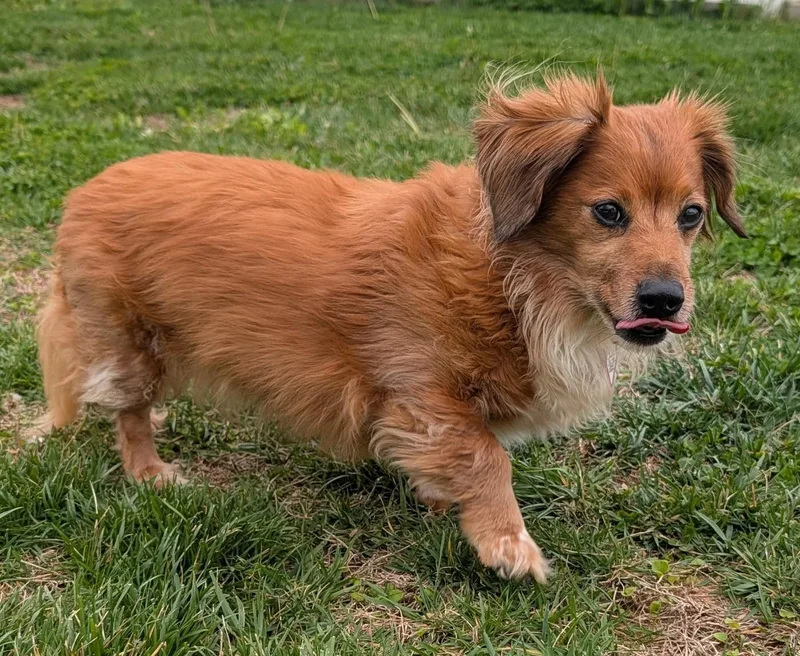 Tucker In Sc thumbnail 3