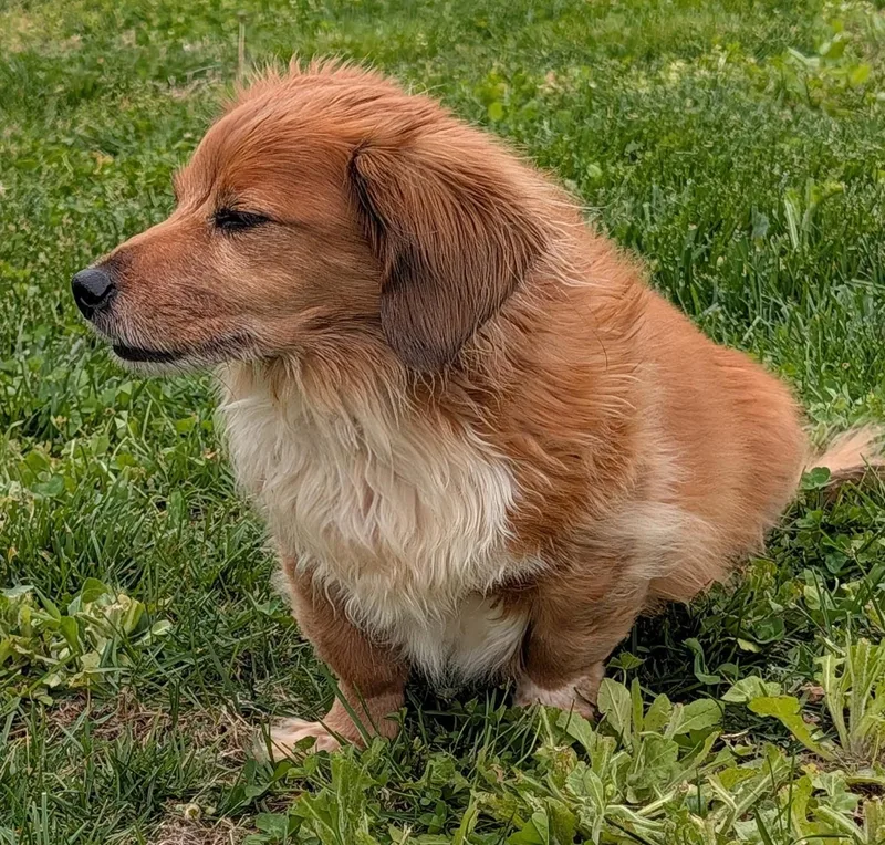 Tucker In Sc thumbnail 4