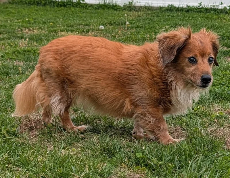 Tucker In Sc thumbnail 5