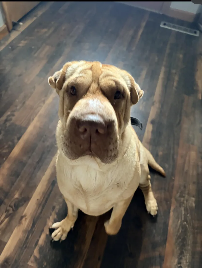 Ruby