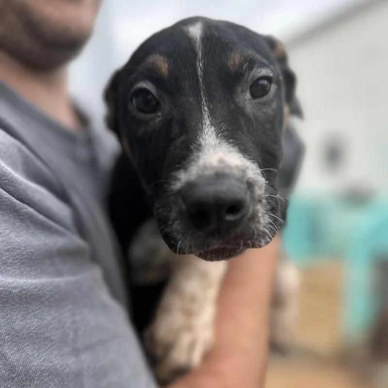 Skinny Jeans thumbnail 3