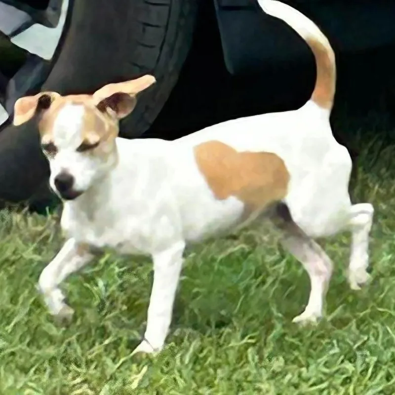 Millie thumbnail 3