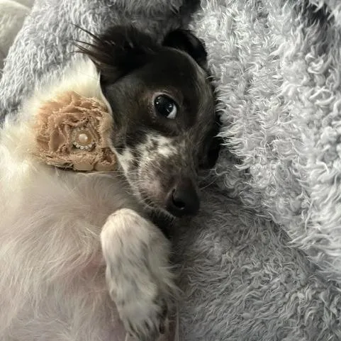 Bubbles thumbnail 2