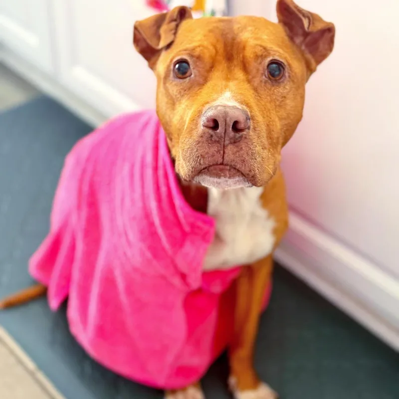 Blessing thumbnail 5