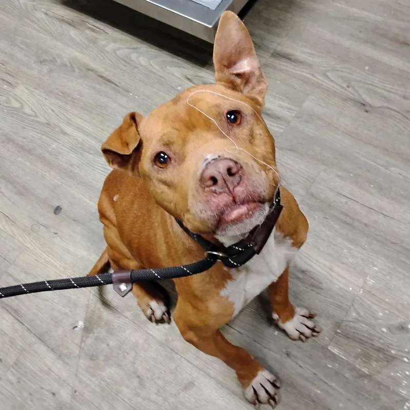 Blessing thumbnail 6