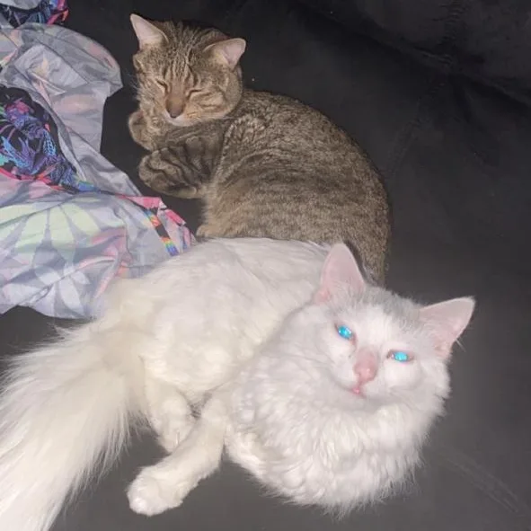 Rella  Bonded With thumbnail 3