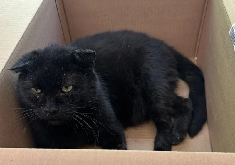 Sutherland thumbnail 2