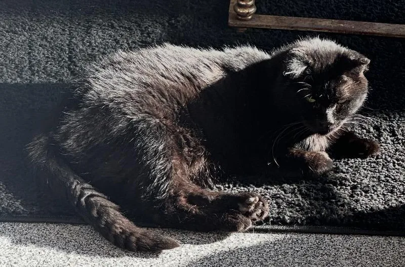 Sutherland thumbnail 3