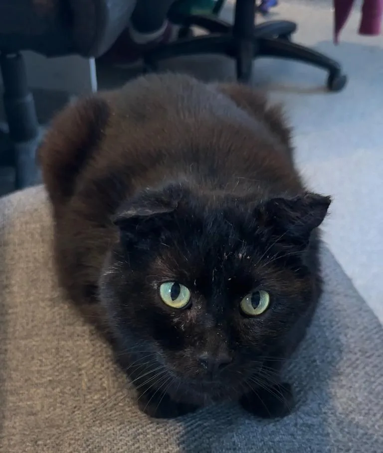 Sutherland thumbnail 4