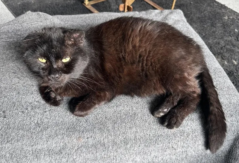 Sutherland thumbnail 5