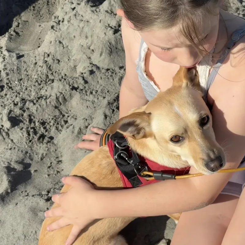 Sandy thumbnail 6