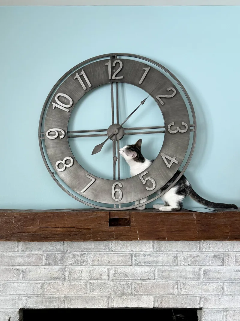 Michael Cheche thumbnail 3