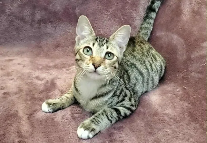 Rosalina thumbnail 5