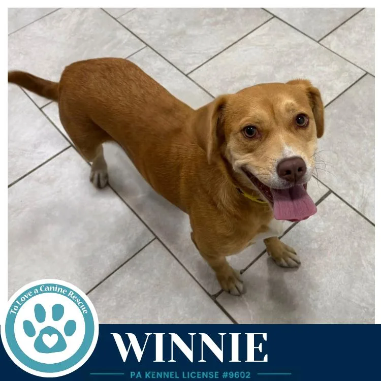 Winnie thumbnail 2