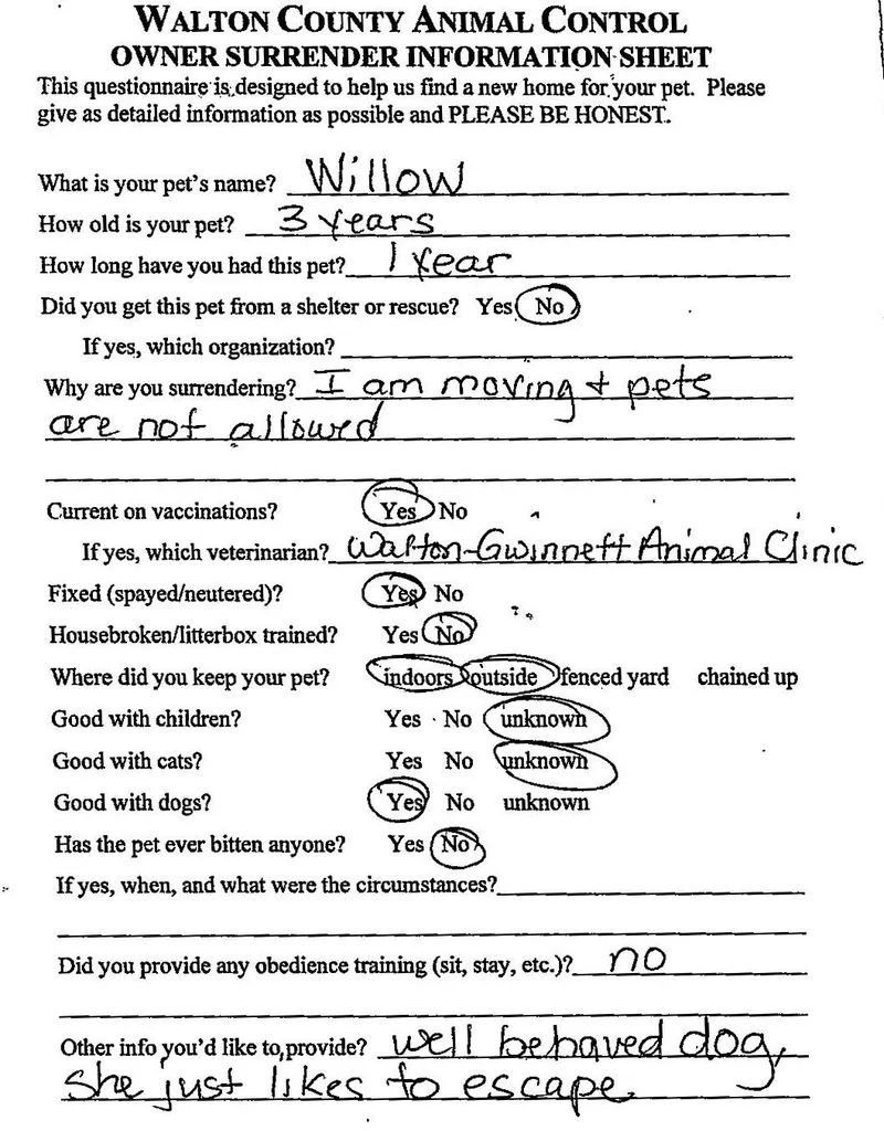 Willow thumbnail 3
