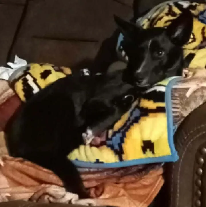 Courtesy Listing  Zeke thumbnail 2