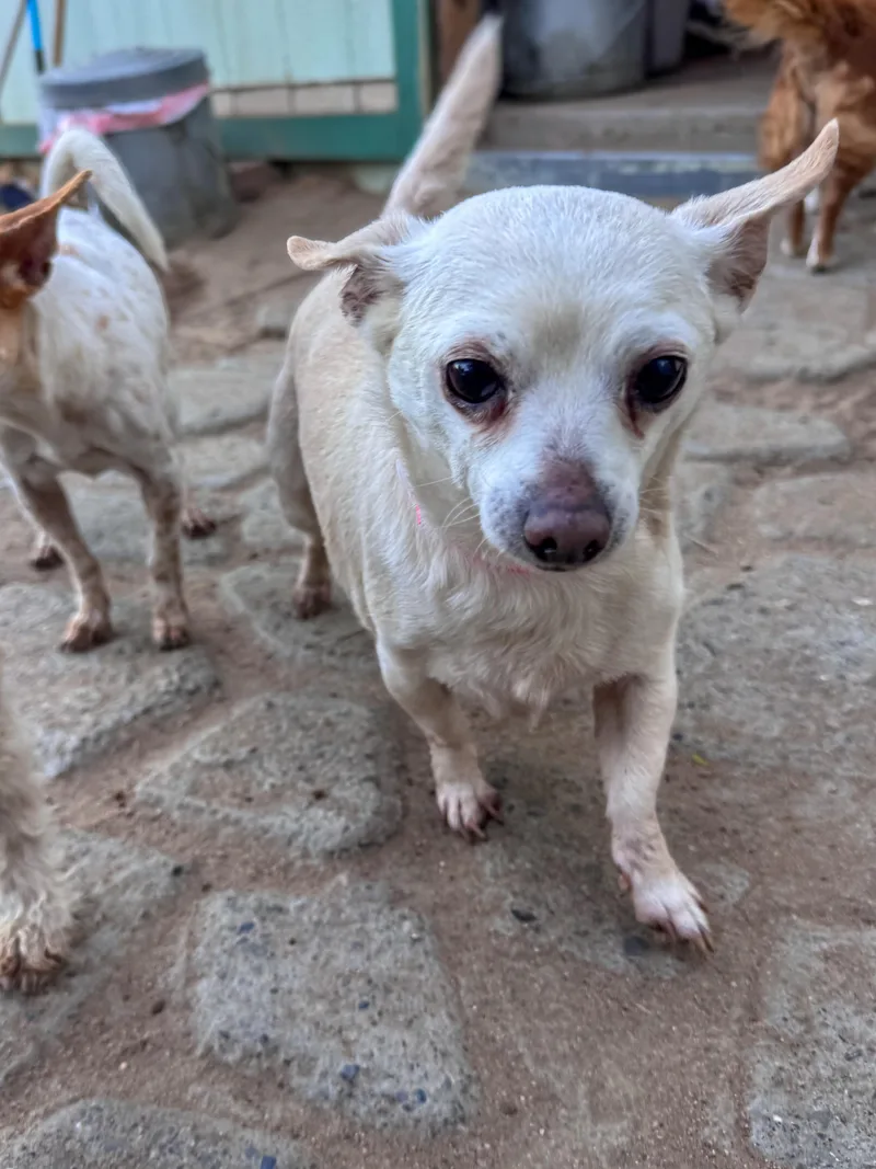 Linda Mae thumbnail 3