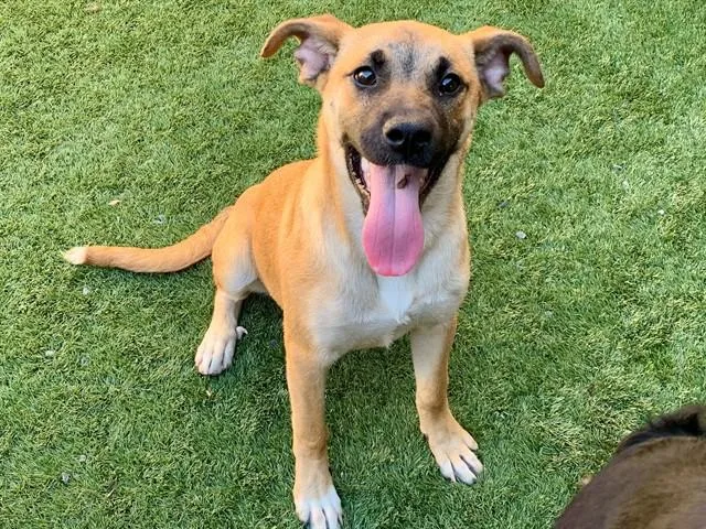 Save Me Please! Kelly